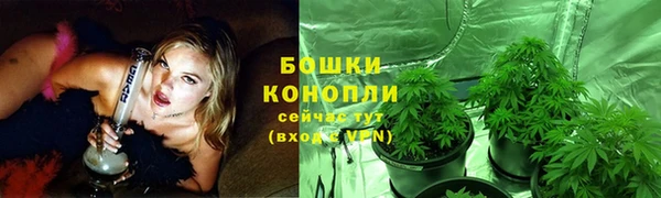 СК Зерноград
