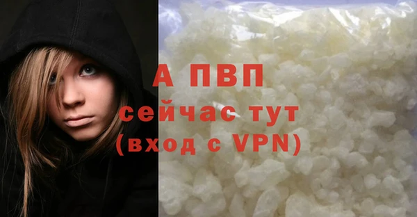СК Зерноград