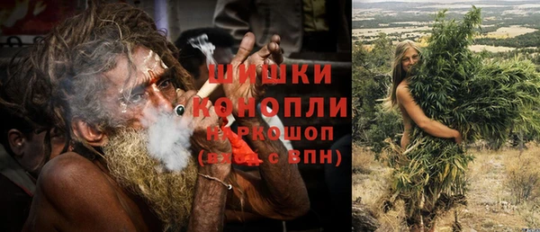 СК Зерноград