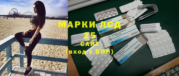 СК Зерноград