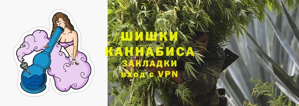 СК Зерноград