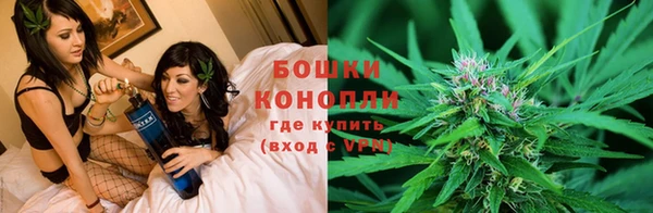 СК Зерноград