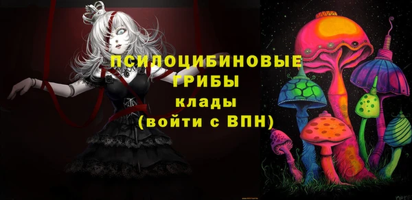 СК Зерноград